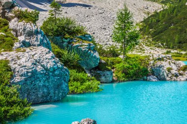 Turkuaz sorapis çam ağaçları ve dolomit Dağları'lake