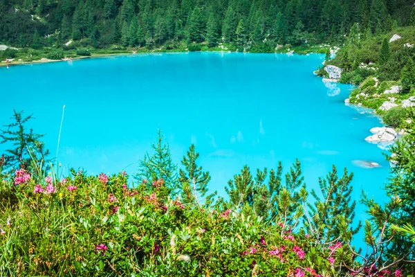 Lago Sorapis Turquesa com Pinheiros e Montanhas Dolomitas em — Fotografia de Stock