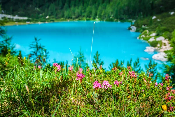 Alpin göl sorapis - İtalyan Dolomites'in muhteşem manzara. — Stok fotoğraf