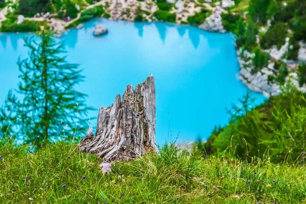 绿松石索拉皮斯山湖与松树和白云石山脉 — 图库照片