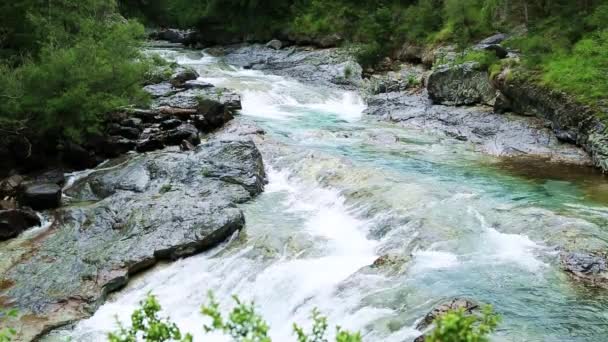 Río Ara Bujaruelo Valle de Ordesa Pirineos Huesca Aragón en España — Vídeo de stock