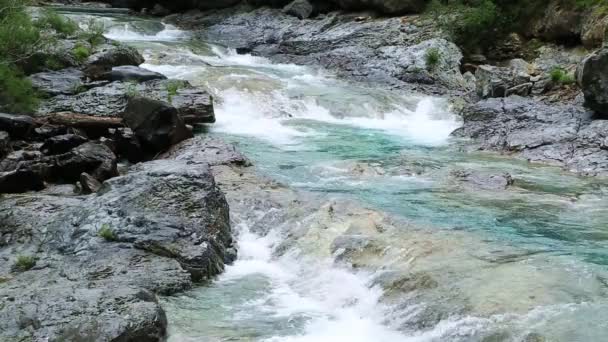 Rio ara folyó elhelyezhető a valle de ordesa völgy Pireneusok huesca Aragónia, Spanyolország — Stock videók