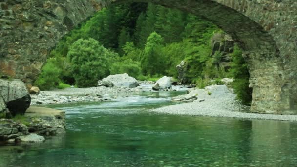 Rio Ara river Bujaruelo in Valle de Ordesa valley Pyrenees Huesca Aragon at Spain — Stock Video