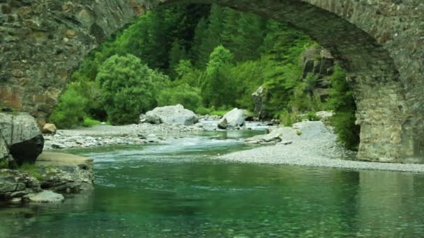 Rio Ara Bujaruelo no vale do Valle de Ordesa Pirinéus Huesca Aragão na Espanha — Vídeo de Stock