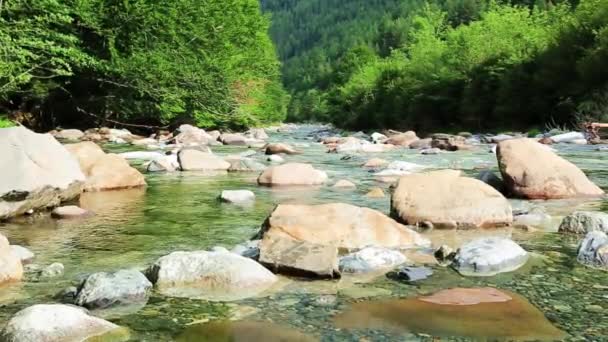 Rio Ara river Bujaruelo in Valle de Ordesa valley Pyrenees Huesca Aragon at Spain — Stock Video