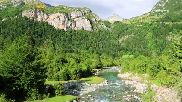 Rio ara rzeki bujaruelo w valle de ordesa doliny Pirenejów huesca Aragonii w Hiszpanii — Wideo stockowe