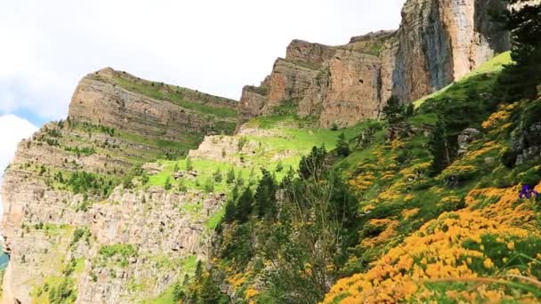 Parco nazionale di Ordesa y Monte Perdido, Faja de las flores — Video Stock