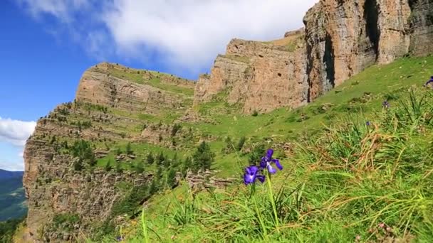 Ordesa y monte perdido national park, faja de las flores — Stock video