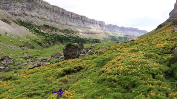 Circo de soaso 蒙特 perdido 辎谷在韦斯卡比利牛斯西班牙阿拉贡 — 图库视频影像