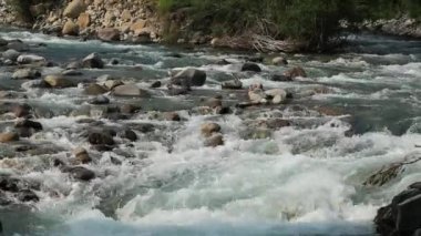 Rio ara nehirde torla valle de ordesa Vadisi pyrenees huesca, aragon, İspanya