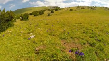 Kanyon de anisclo içinde parque nacional ordesa y monte perdido, İspanya Hava video