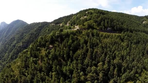 Vídeo aéreo do Canyon de Anisclo no Parque Nacional Ordesa y Monte Perdido, Espanha — Vídeo de Stock