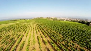 eski bir kasaba Carcassonne üzüm havadan video. Güney Fransa
