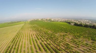 eski bir kasaba Carcassonne üzüm havadan video. Güney Fransa