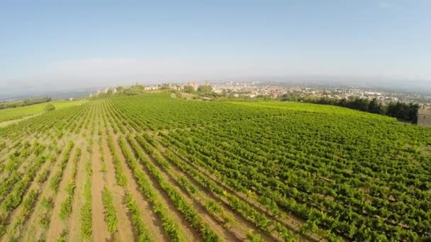 Letecké video staré město carcassonne z vinice. jižní Francie — Stock video