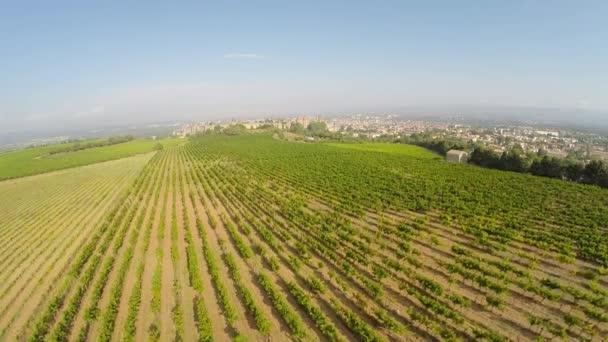 Vídeo aéreo del casco antiguo de Carcasona desde el viñedo. Sur de Francia — Vídeo de stock