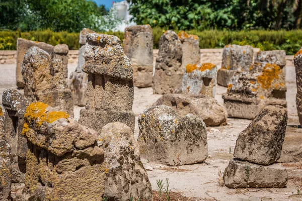 チュニジア。古代カルタゴ。トフェ - 石碑とオープンエアのエリア — ストック写真