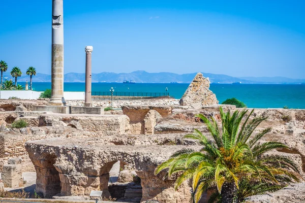 Ancient ruins at Carthage, Tunisia with the Mediterranean Sea in — Stock Photo, Image