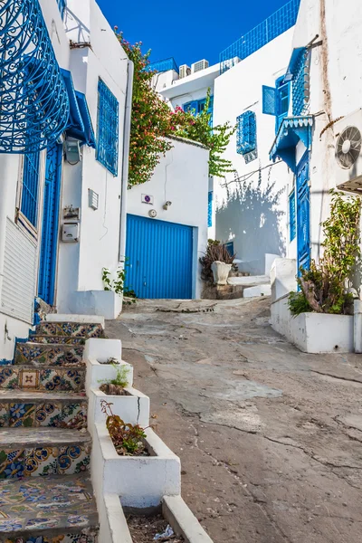 Sidi Bou Said - typisk byggnad med vita väggar, blå dörrar en — Stockfoto