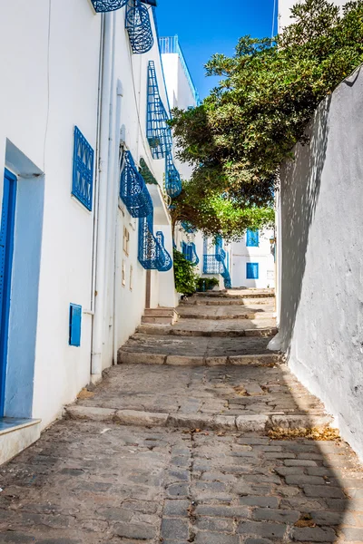 Sidi Bou Said - typical building with white walls, blue doors an — Stock Photo, Image