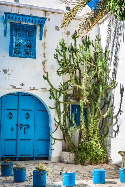 Sidi Bou Said - τυπικό κτίριο με τους άσπρους τοίχους, τα μπλε πορτοπαράθυρα μια — Φωτογραφία Αρχείου