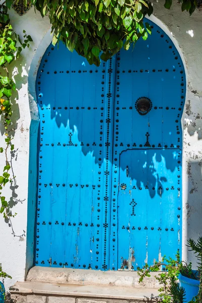 Typical local door of traditional homs Tunis Tunisia — Stock Photo, Image