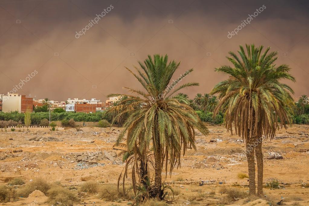 Gafsa