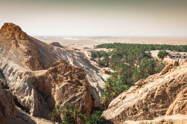 Dağ vahası Chebika Sahra, Tunus, Afrika sınırında