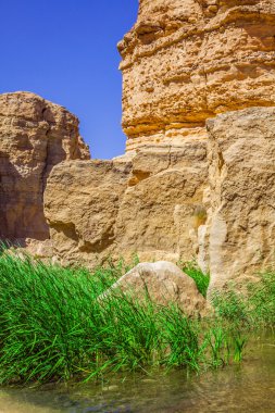 ünlü dağ oasis chebika Tunus, Kuzey Afrika