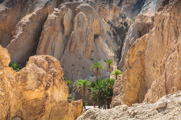 Oasis de montaña Chebika en la frontera del Sahara, Túnez, África — Foto de Stock