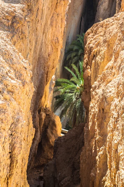 アルジェリア国境近くでチュニジア山オアシス tamerza. — ストック写真