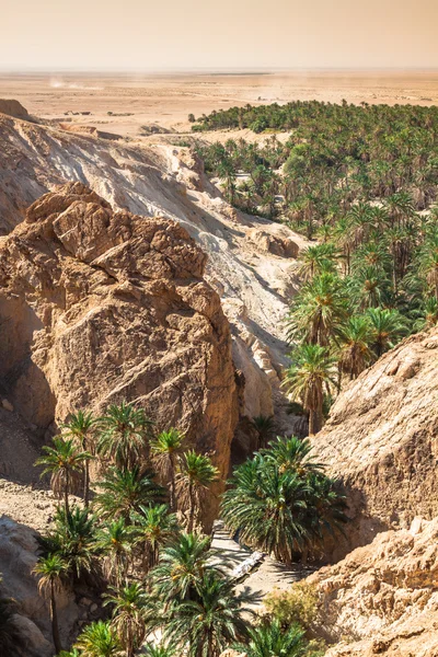 Dağ vahası Chebika Sahra, Tunus, Afrika sınırında — Stok fotoğraf