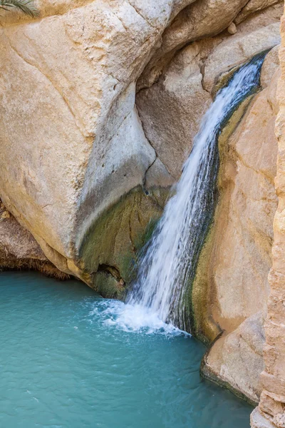 Cascata in oasi di montagna Chebika, Tunisia, Africa — Foto Stock