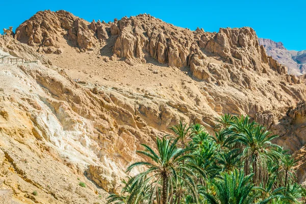 Dağ vahası Chebika Sahra, Tunus, Afrika sınırında — Stok fotoğraf