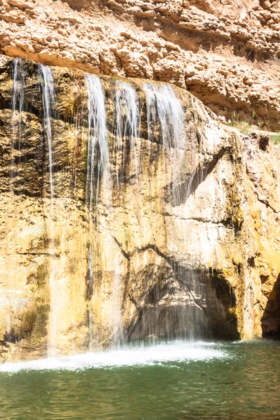 Waterval in berg oase chebika, Tunesië, Afrika — Stockfoto