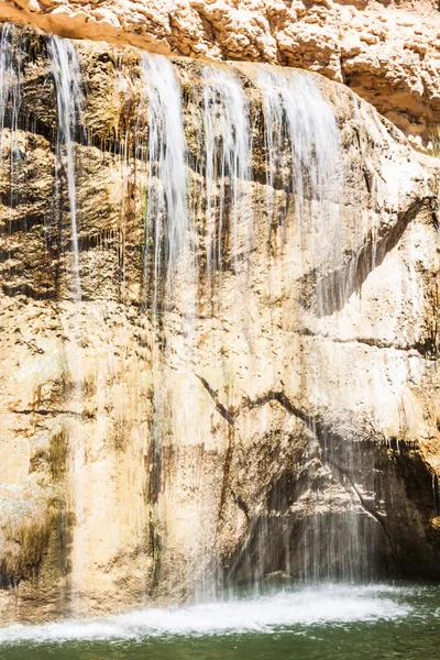 Cascade dans l'oasis de montagne Chebika, Tunisie, Afrique — Photo