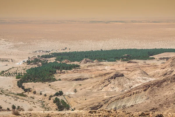 Berg oase tamerza in Tunesië in de buurt van de grens met Algerije. — Stockfoto