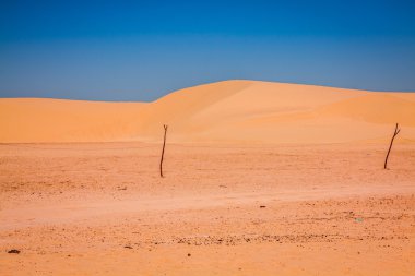 yanında ong jemel, tozeur, Tunus sahara çöl kumulları.