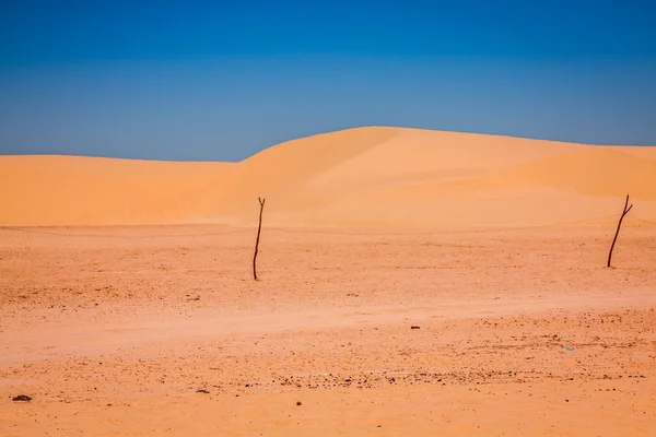 Dunes de sable du désert du Sahara près d'Ong Jemel à Tozeur, Tunisie . — Photo