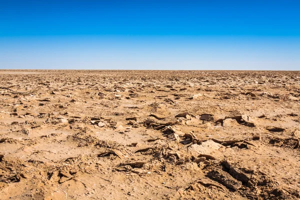 Chott el Djerid (biggest salt lake in north africa), tunisia — Stock Photo, Image