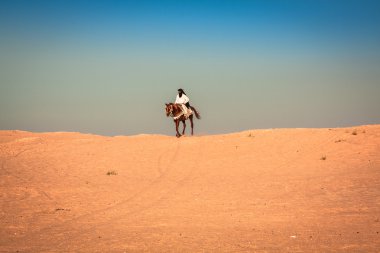 Local people on horses, in the famous Saraha desert,Douz,Tunisia clipart