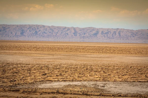 Chott el Djerid (biggest salt lake in north africa), tunisia — Stock Photo, Image