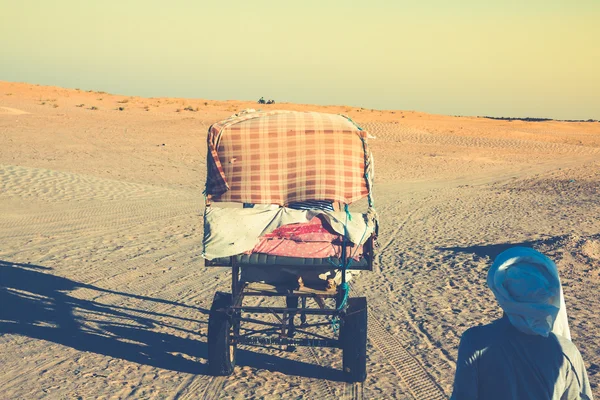 Beduinen führen Touristen auf Kamelen bei kurzer Touristentour durch — Stockfoto