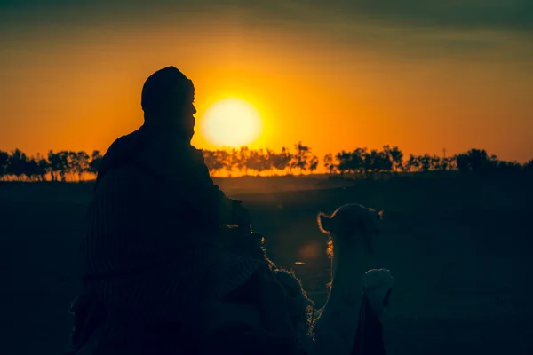 Sonnenuntergang in der Sahara - Douz, Tunesien. — Stockfoto