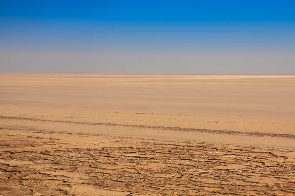 索特 el djerid (在北非地区最大咸水湖）、 突尼斯 — 图库照片