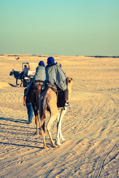 Beduins leader turisti sui cammelli a breve tour turistico intorno — Foto Stock