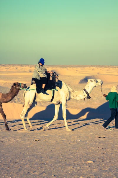 Beduins prowadzi turystów na wielbłądach na wycieczkę Krótki turystyczny — Zdjęcie stockowe