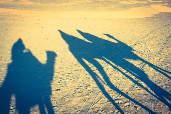 Douze, tunisia, camelo e pessoas no deserto do Saara — Fotografia de Stock