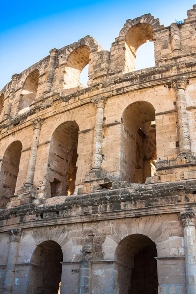 El Jem Colosseum ruinerna i Tunisien kämpar gladiator — Stockfoto