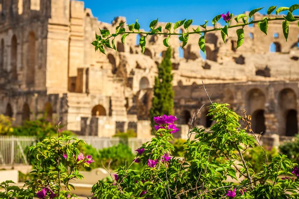 Tunesië. El Jem (oude Thysdrus). Ruïnes van de grootste Kolosse — Stockfoto